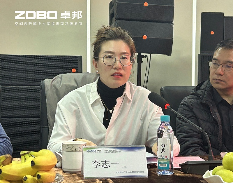 共築智控新生態 | 2025音視頻聲光電技術融合與市場拓展研討會在ZOBO羞羞APP大全召開