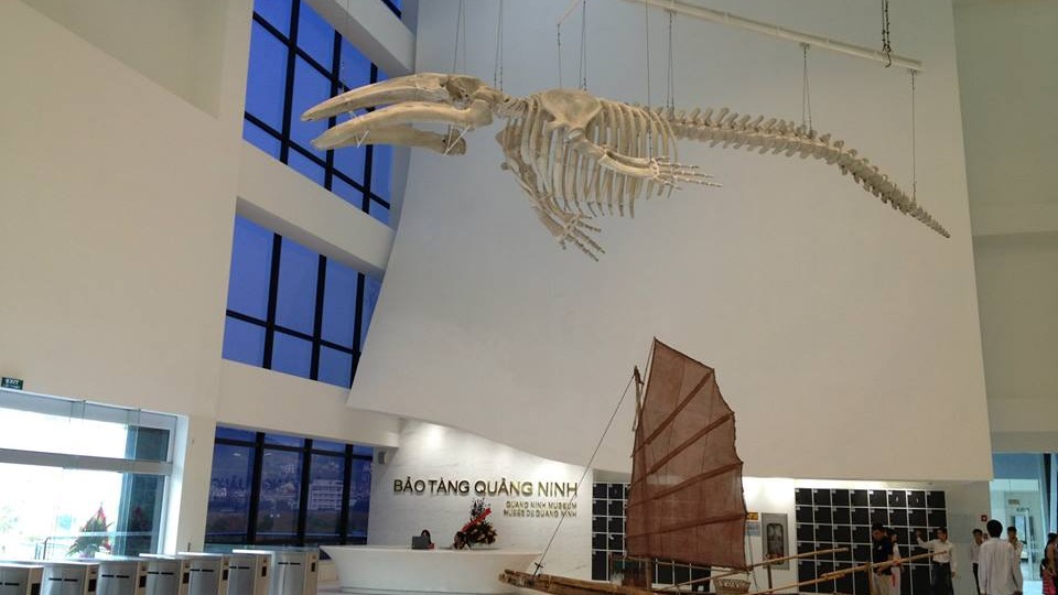 Montarbo進軍亞太又一力作—越南廣寧綜合大成人羞羞国产视频