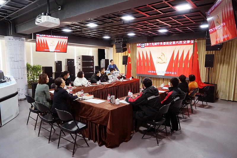 ZOBO羞羞APP大全黨支部丨開展“學習貫徹黨的十九屆六中全會精神”主題黨日活動