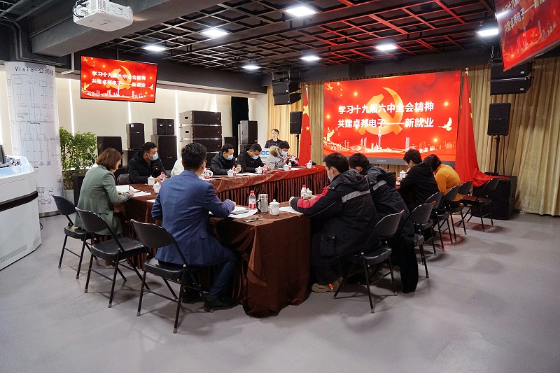 ZOBO羞羞APP大全黨支部丨開展“學習貫徹黨的十九屆六中全會精神”主題黨日活動