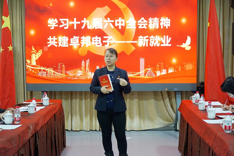 ZOBO羞羞APP大全黨支部丨開展“學習貫徹黨的十九屆六中全會精神”主題黨日活動