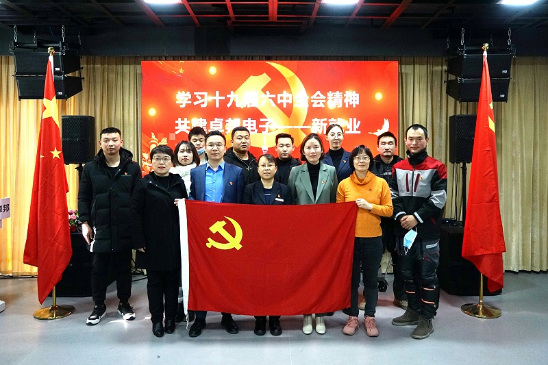 ZOBO羞羞APP大全黨支部開展“學習貫徹黨的十九屆六中全會精神”主題黨日活動