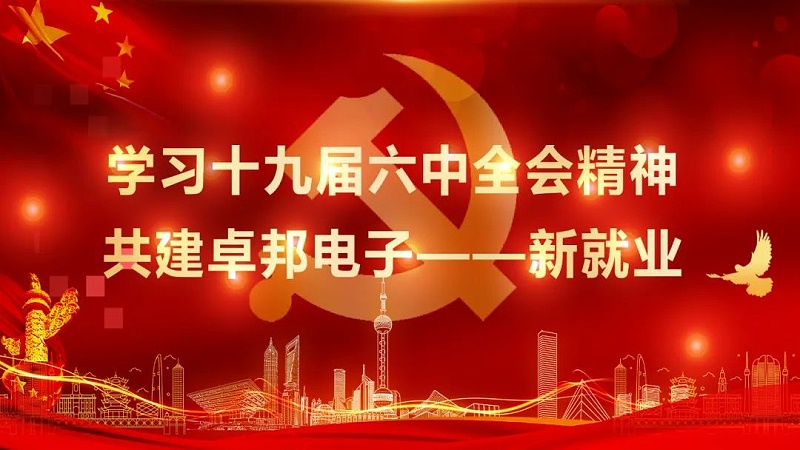 ZOBO羞羞APP大全黨支部丨開展“學習貫徹黨的十九屆六中全會精神”主題黨日活動