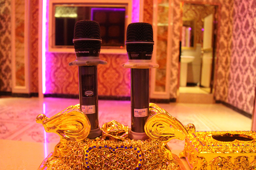 真分集話筒和非真分集的話筒：一場聲音清晰度的較量