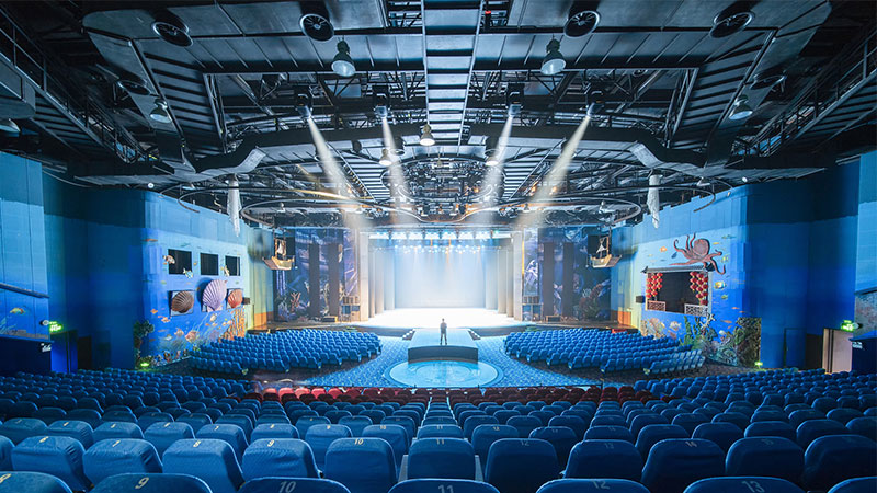 劇場成人羞羞国产视频音頻擴聲係統解決方案