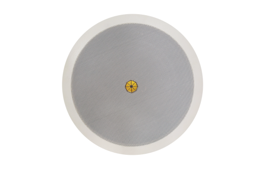 PRS音箱，CAS係列吸頂羞羞漫画官网設備都會遇到哪些坑