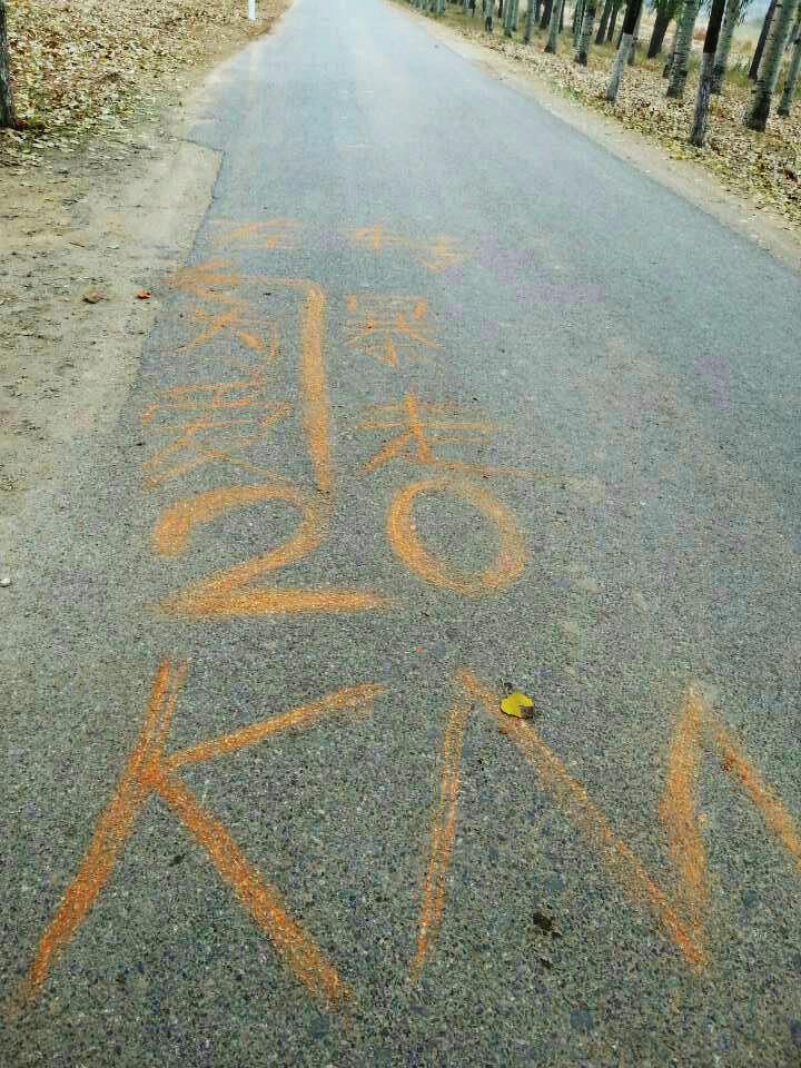 以愛之名，貼地疾行