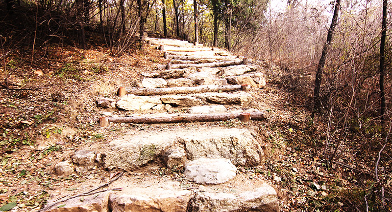 以愛之名，貼地疾行