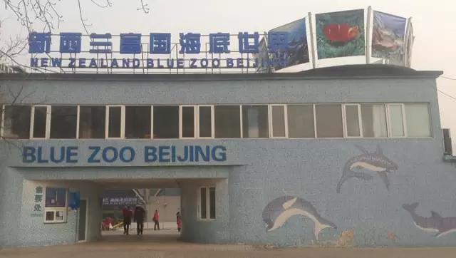 案例 ▎ZOBO羞羞APP大全為富國海底世界打造音視頻係統